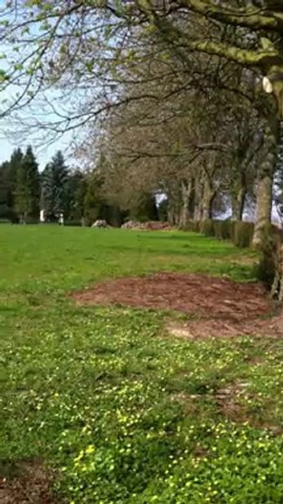 Terrain 2