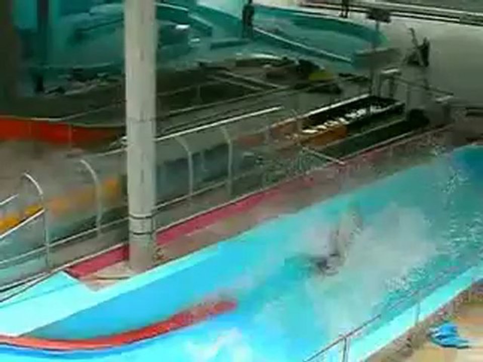 Galaxy Erding - die Rutschenwelt der Therme Erding öffnete am 26.05.2007 (Archiv)