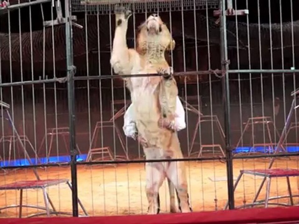 Circus Krone 2012: Premiere 2. Winterspielzeit am 01.02.2012