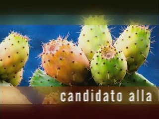 BIODIVERSITA' A RISCHIO - Europa domani