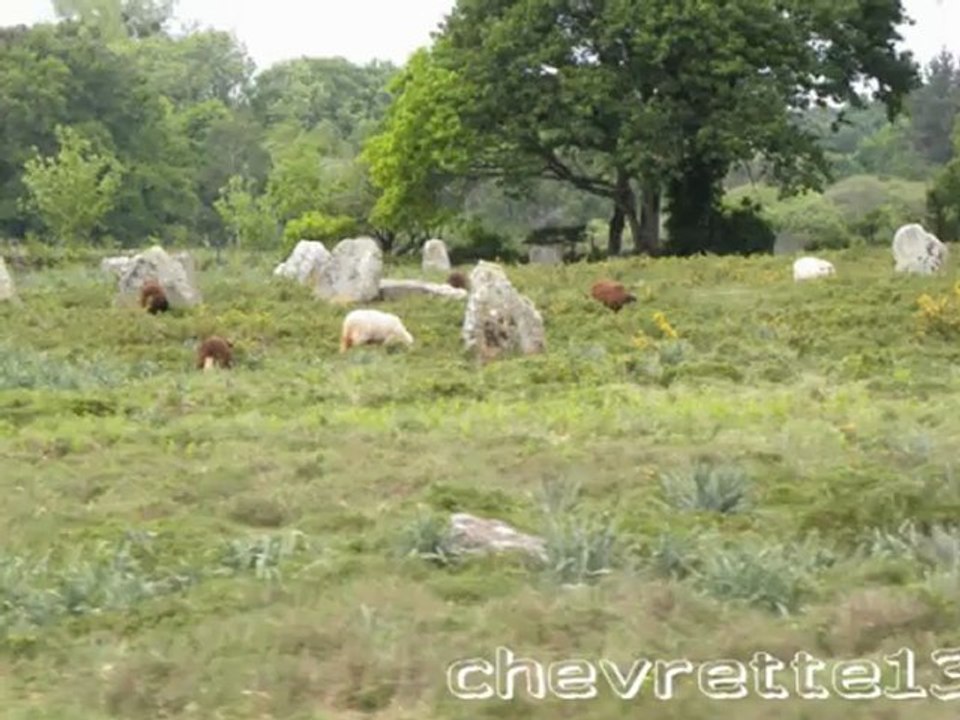 alignementsde Carnac