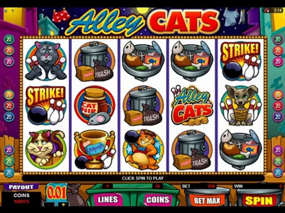 casino (3)
