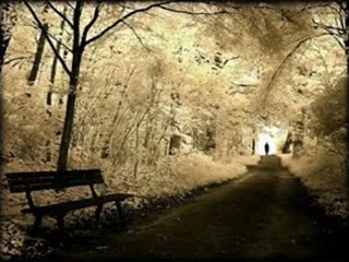 Nilüfer       "Sensizlik bir ölüm sanki"