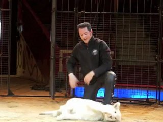 Martin Lacey jr. & weisses Löwenbaby Baluga (6 Monate)