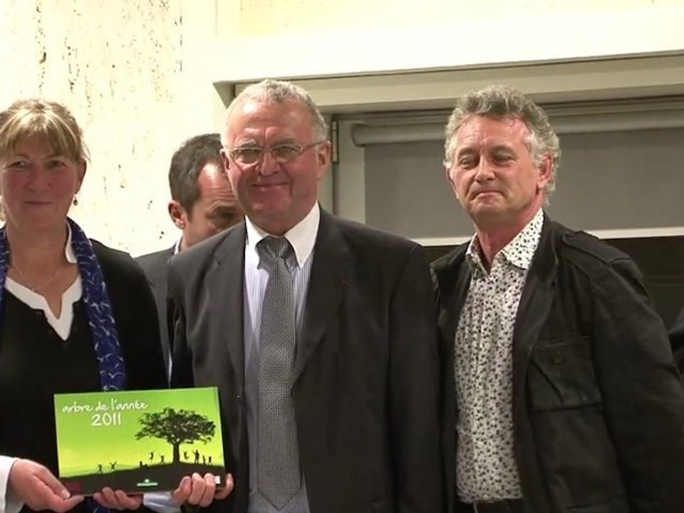 Reportage Arbre de l'année 2011