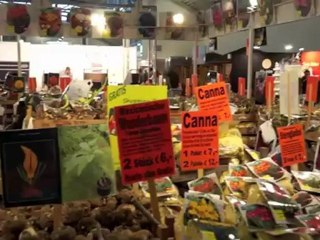 Garten München 2012 - Motto der Blumenschau ist Oster-inseln