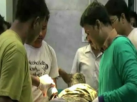 Índia: 21 maoístas mortos em confrontos