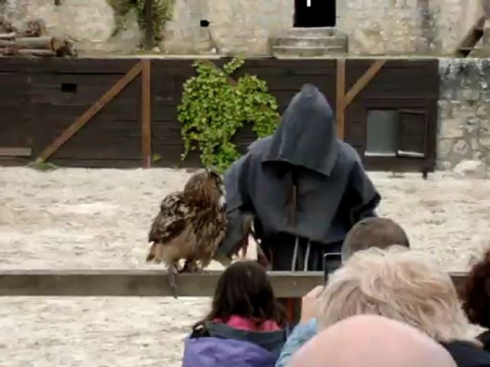 Provins 234