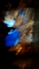 Tifosi Italiani a Bahrein con la bandiera sarda !