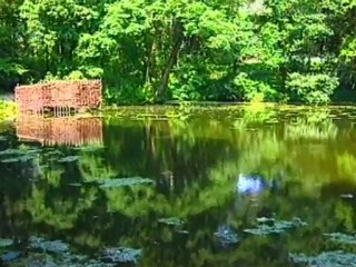 Tula. GTRK "Tula". "Tula"