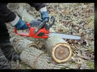 Bales Tree Service - (712) 330-3310