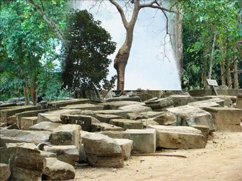 2009-11-01 - ANGKOR WAT - JUNGLE TEMPLE - TA PHROM
