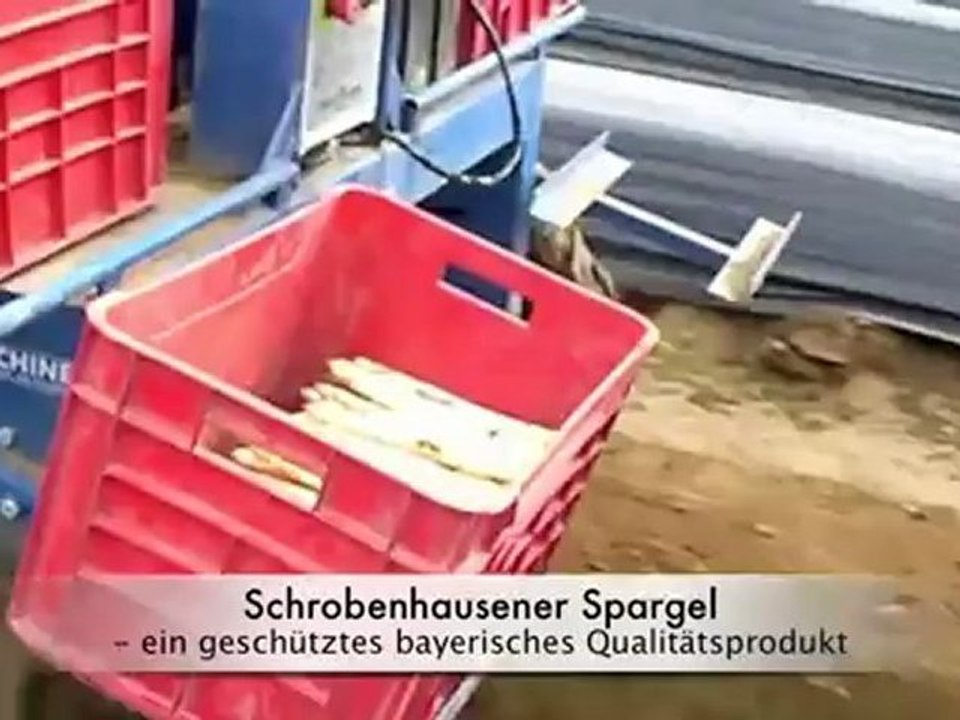 Spargel aus Schrobenhausen - seit Mitte April 2012