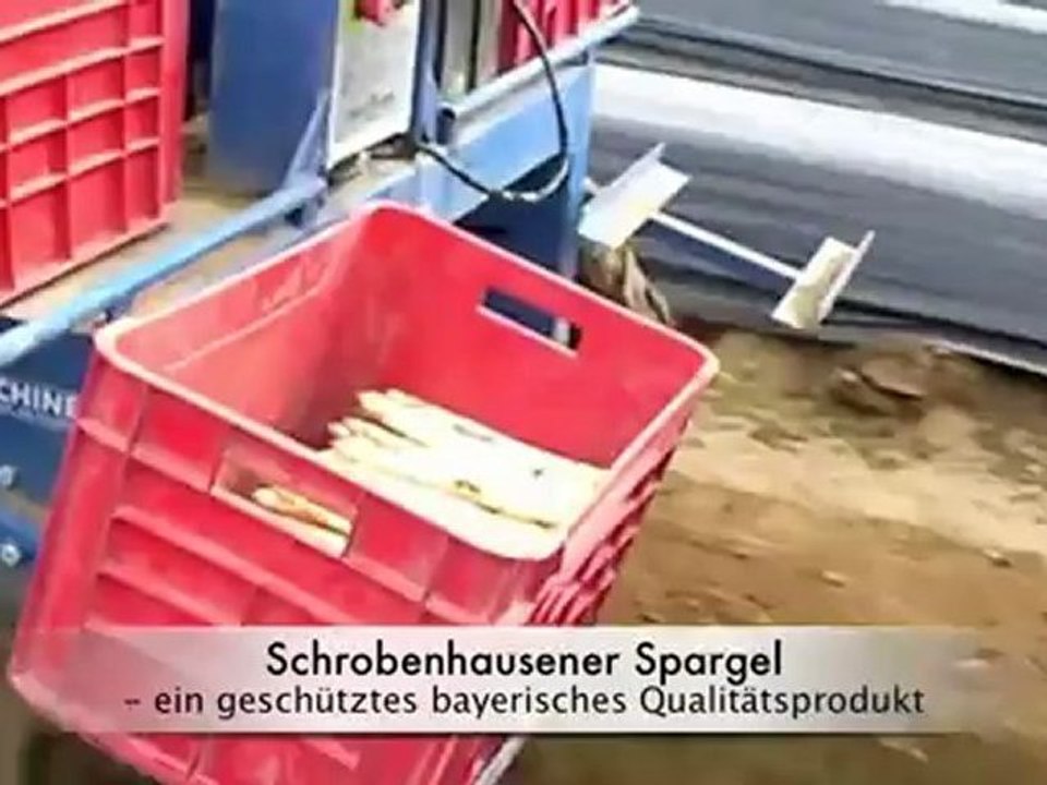Spargel aus schrobenhausen - seit mitte april 2012