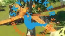 Treetent concept - Baum Zelt konzept - Boomtent concept