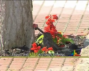 Ξεκινούν οι κατασκηνώσεις της Μητρόπολης Φθιώτιδας