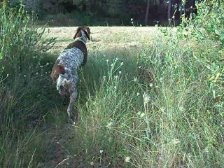 CIRKA cherche le lapin