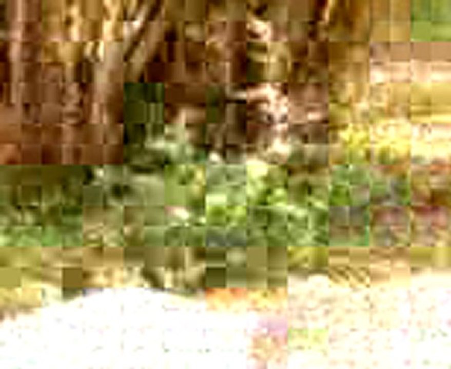 28062012 DIYAE