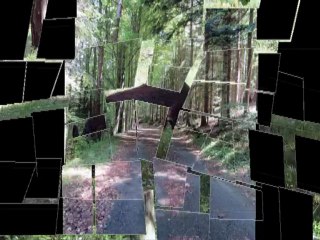 Notre Dame des Neiges