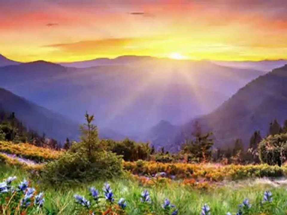 ÖZLEM ÖZDİL-ÖZLEM