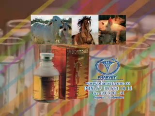 Junio 29 FERIA SIMMENTAL TULUA 2012