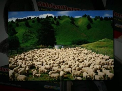 Custom Fit Pure Sheepskin Seat Covers