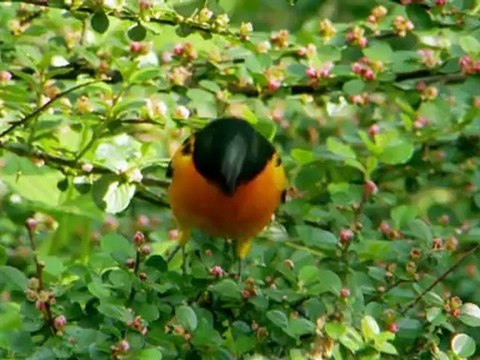 HBO Documentary Summer Series: Director's Interview