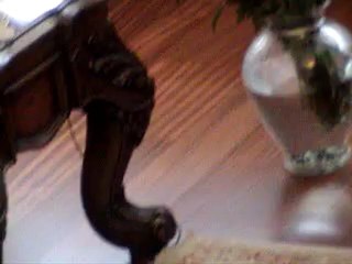 Kabotaj Bayramında Mersin Valisini ziyaret