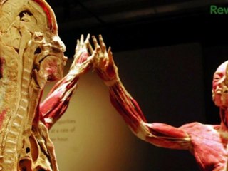 Microsoft Surface Reactions and Stupid Instagram Habits - Toasted Donut