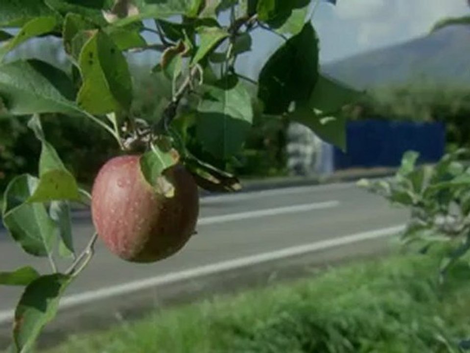 ChuChoAki_clip1