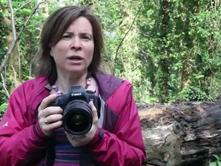 Canon EOS 5D Mark III review