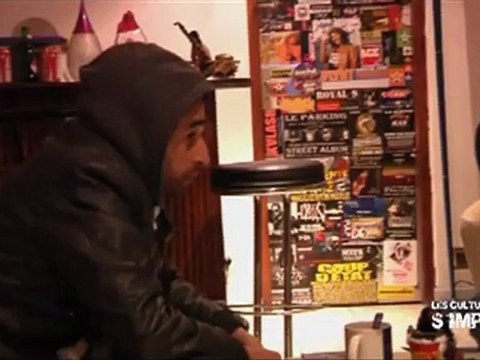 Sniper et Wanted - Les Cultures Urbaines s'imposent Emission 7