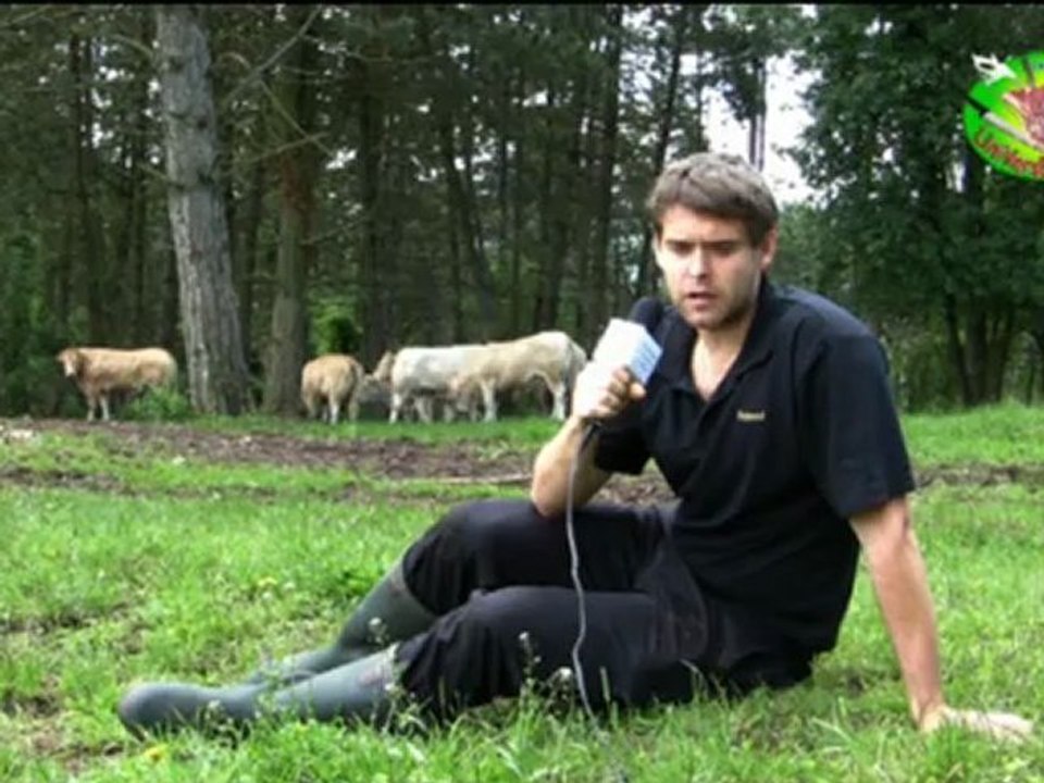 Boucherie Polmard 5 : La ferme & l'abattoir