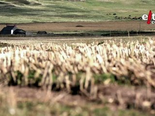 Orain: La casa de las algas