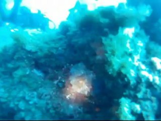 Plongée 2 frères 30-06-2012