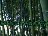 Images d'Occitanie - Le parc aux bambous - Lapenne - Ariège
