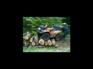 savez-vous ranger du bois a la mode des st bernard