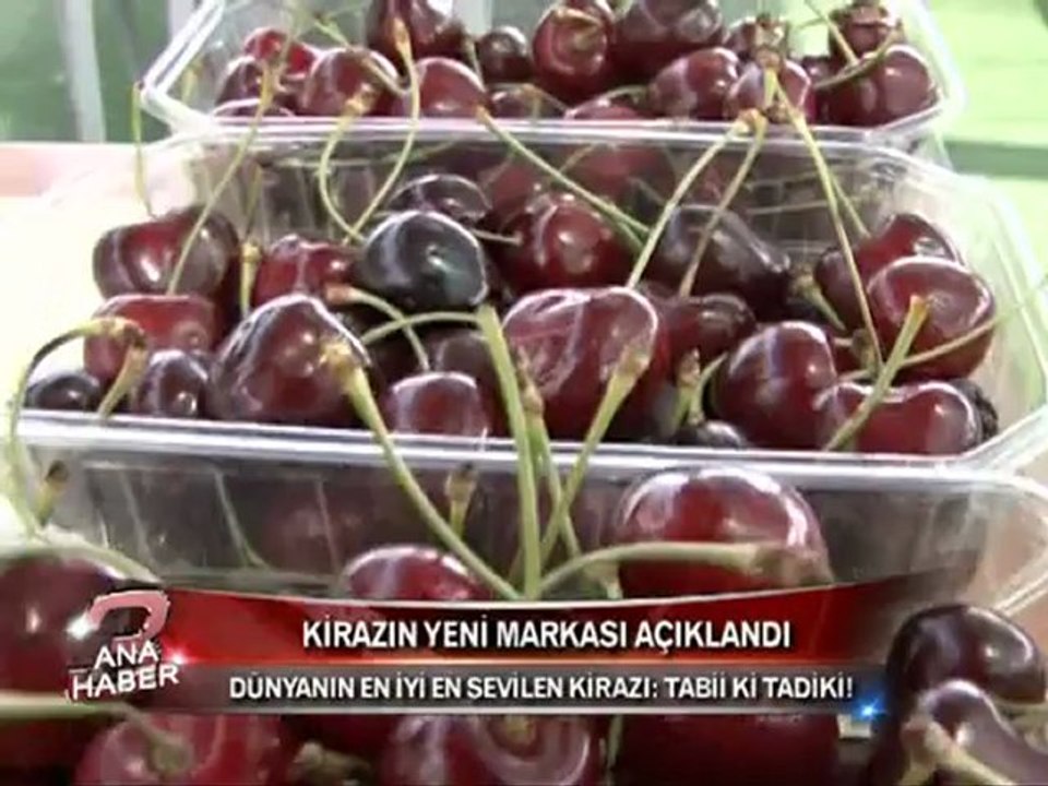 TADİKİ BAKAN  EROĞLU