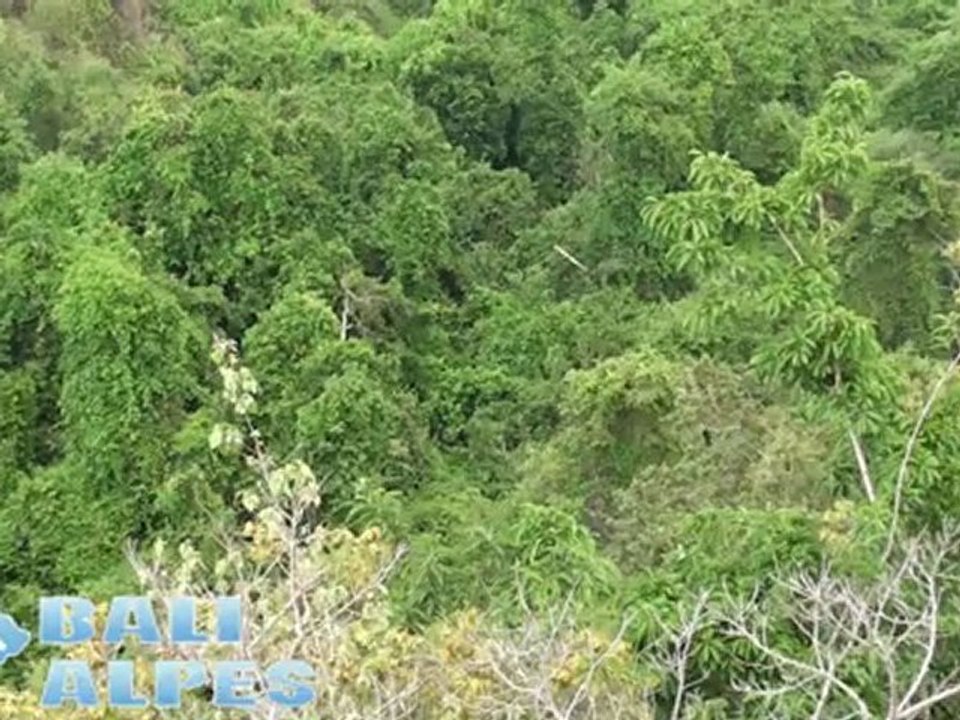 Randonnée dans le parc National de Bali