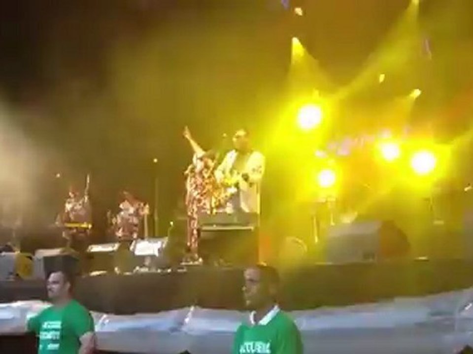 Bertrand Cantat - Whole lotta love (Led Zeppelin ) Eurockéennes 2012