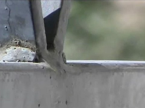 Syria فري برس ريف دمشق معضمية الشام انفجارات عنيفة واطلاق رصاص كثيف في المدينة 29 06 2012 Damascus