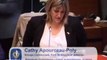 Position de vote Cathy Apourceau-Poly financement enseignement prive et internats excellence 21-05-12