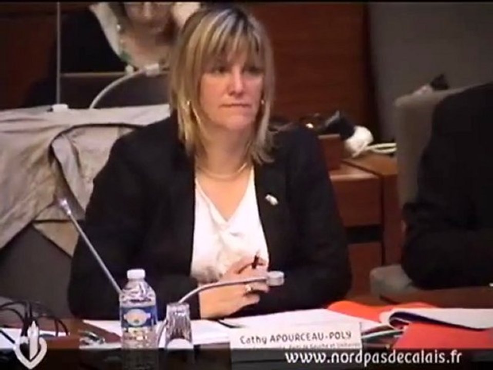 Position de vote Cathy Apourceau-Poly surcout travaux Louvre-Lens 21-05-12