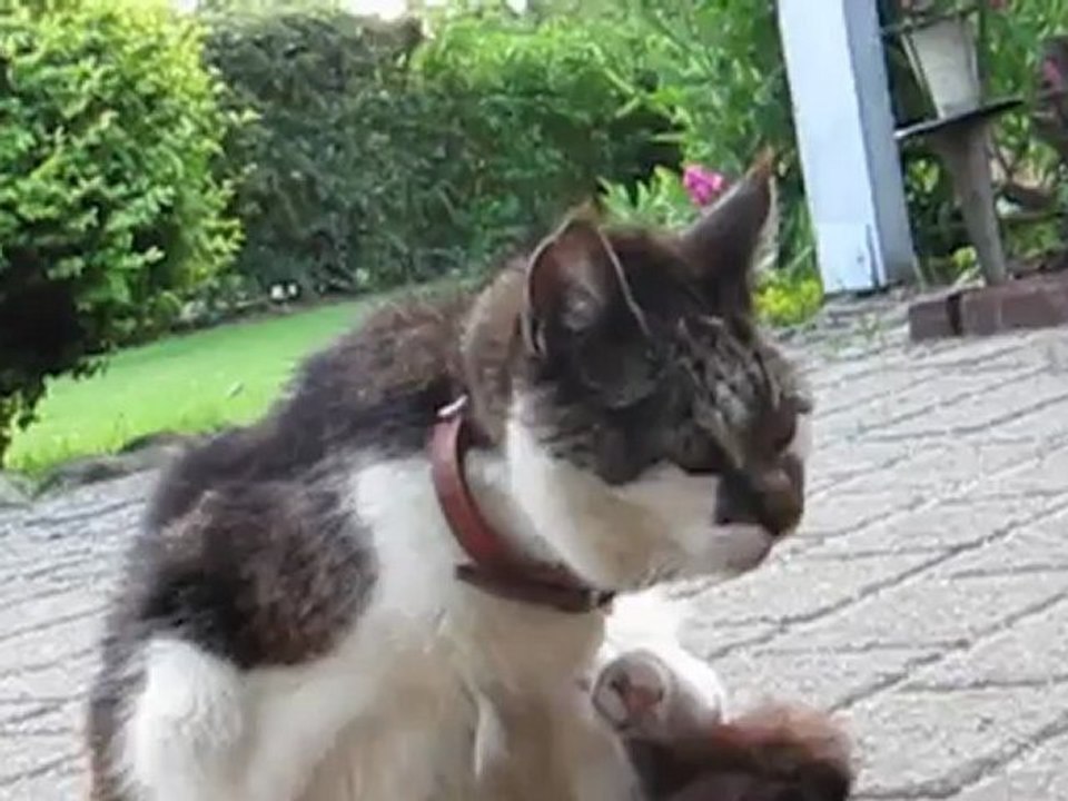 Mille-vask 30. juni.  2012