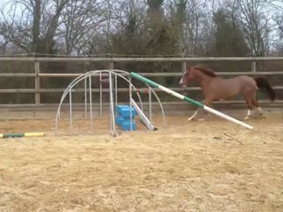 tadj mahal des songes