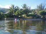 2012 05 14 016 lun VIDEO  Polynésie Française Tahiti Raiatea kayak avec les dauphins