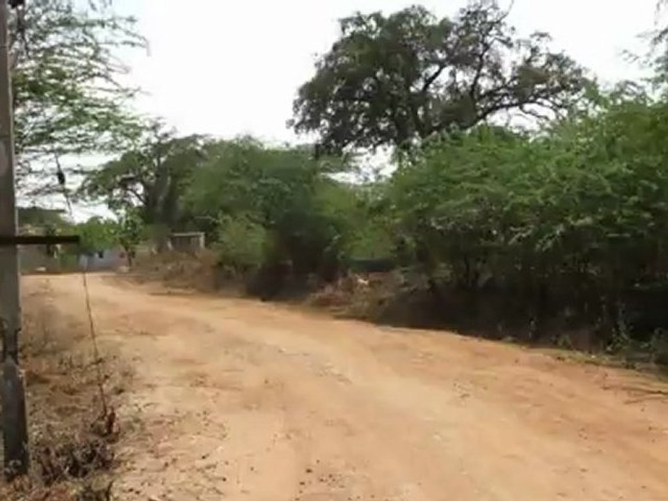 RamSuja VFX & MOTION GRAPHICS Z..