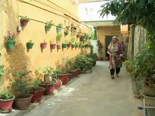 Shaadi Ka Ladu - Episode 26 Part 1
