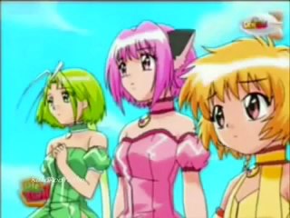 Minto x Zakuro Decision !