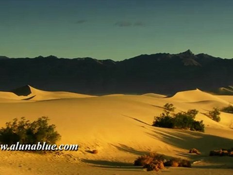 Stock Video - Dunes clip 10 - Stock Footage - Video Backgrounds